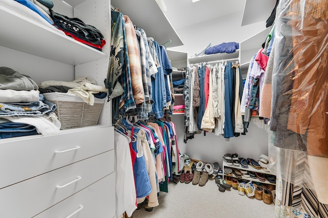 8361 9 Mile Rd, Big Rapids, MI 49307 - walk in closet with carpet floors