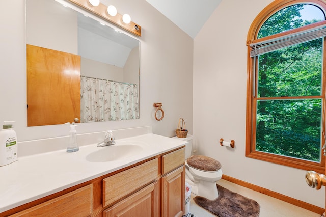 8361 9 Mile Rd, Big Rapids, MI 49307 - full bath featuring vaulted ceiling, vanity, and curtained shower
