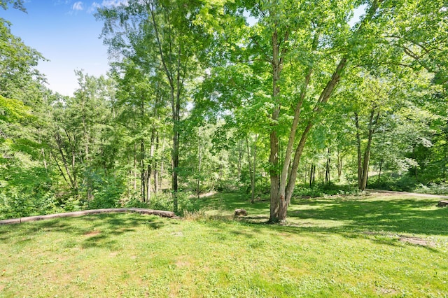 8361 9 Mile Rd, Big Rapids, MI 49307 - view of grassy yard