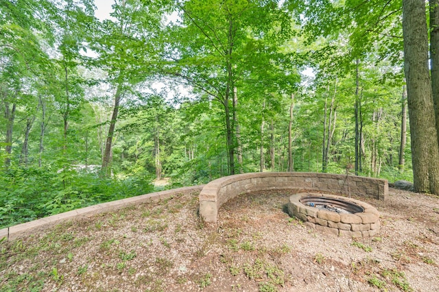 8361 9 Mile Rd, Big Rapids, MI 49307 - view of yard featuring a fire pit and a forest view