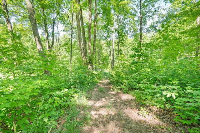8361 9 Mile Rd, Big Rapids, MI 49307 - view of undeveloped land