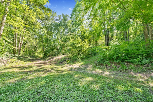 8361 9 Mile Rd, Big Rapids, MI 49307 - view of woods