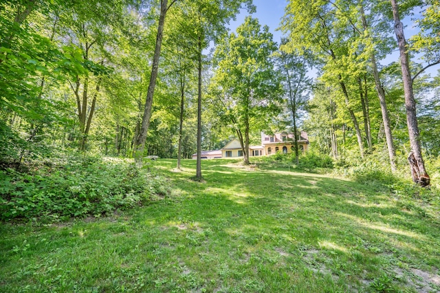 8361 9 Mile Rd, Big Rapids, MI 49307 - view of green lawn