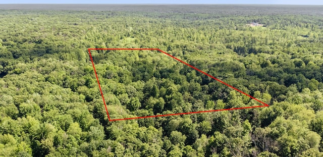 8361 9 Mile Rd, Big Rapids, MI 49307 - aerial view of property and surrounding area featuring a heavily wooded area and property parcel outlined