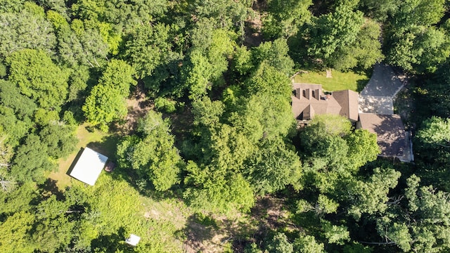 8361 9 Mile Rd, Big Rapids, MI 49307 - aerial overview of property's location