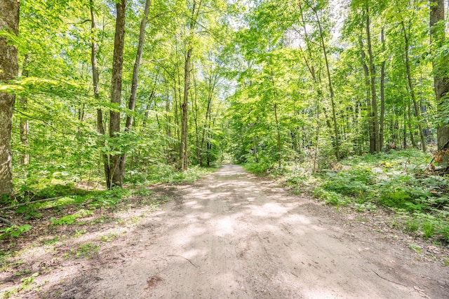 8361 9 Mile Rd, Big Rapids, MI 49307 - view of road with a view of trees