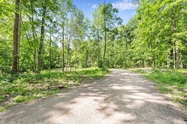 8361 9 Mile Rd, Big Rapids, MI 49307 - view of dirt / gravel road featuring a view of trees
