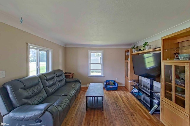 296 S Saginaw St, Montrose, MI 48457 - living area with hardwood / wood-style flooring and baseboards