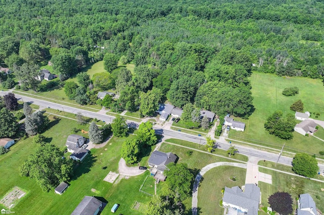 296 S Saginaw St, Montrose, MI 48457 - aerial overview of property's location with a forest
