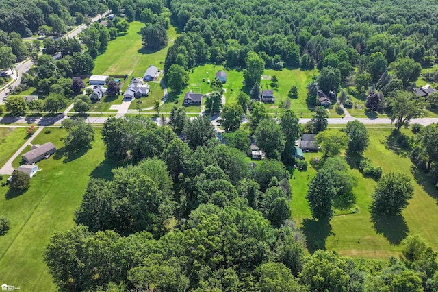 296 S Saginaw St, Montrose, MI 48457 - bird's eye view of a forest