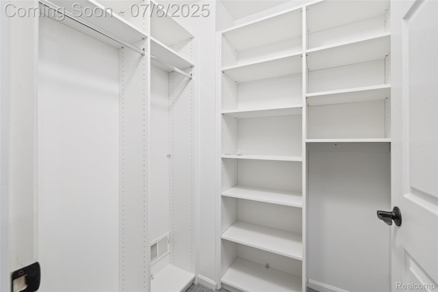 57349 Megan Dr, Washington, MI 48094 - view of spacious closet