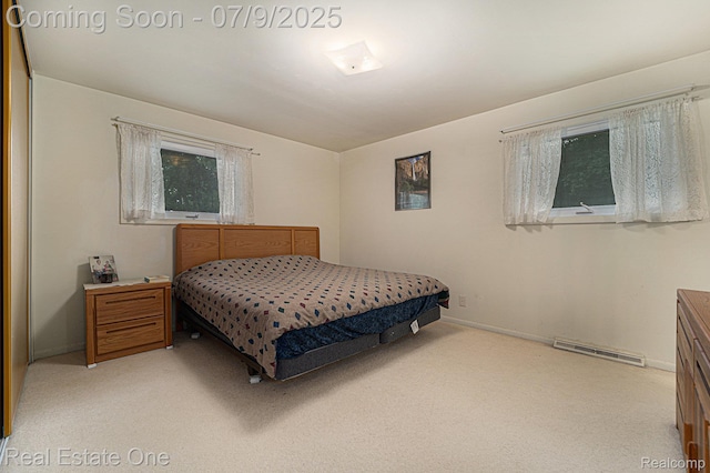 44080 Marlson Ave, Novi, MI 48375 - photo 13
