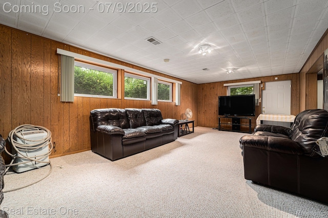 44080 Marlson Ave, Novi, MI 48375 - photo 18