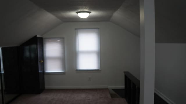 13558 Asbury Park, Detroit, MI 48227 - bonus room featuring lofted ceiling and carpet