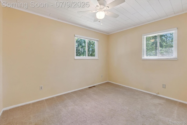 15279 Outer Dr, Linden, MI 48451 - photo 21