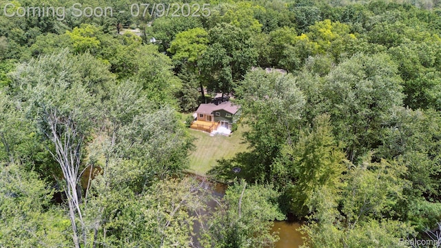 15279 Outer Dr, Linden, MI 48451 - photo 52