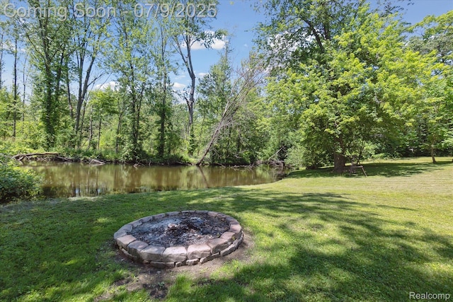 15279 Outer Dr, Linden, MI 48451 - photo 43