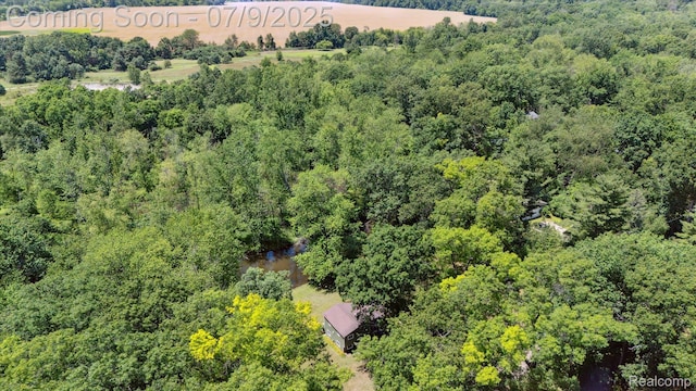 15279 Outer Dr, Linden, MI 48451 - photo 49