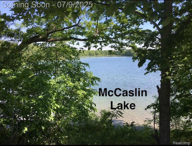 15279 Outer Dr, Linden, MI 48451 - photo 58