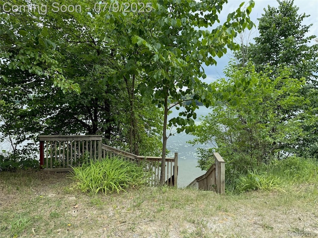 15279 Outer Dr, Linden, MI 48451 - photo 54