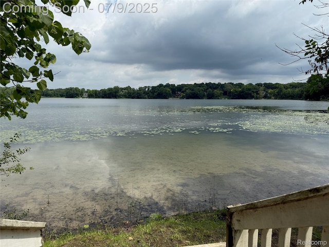 15279 Outer Dr, Linden, MI 48451 - photo 59
