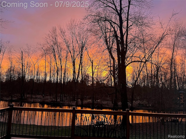 15279 Outer Dr, Linden, MI 48451 - photo 61