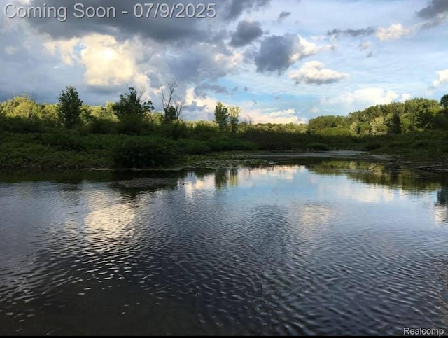 15279 Outer Dr, Linden, MI 48451 - photo 60