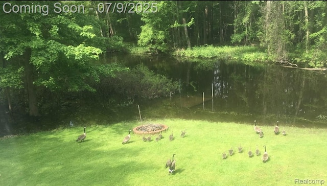 15279 Outer Dr, Linden, MI 48451 - photo 72