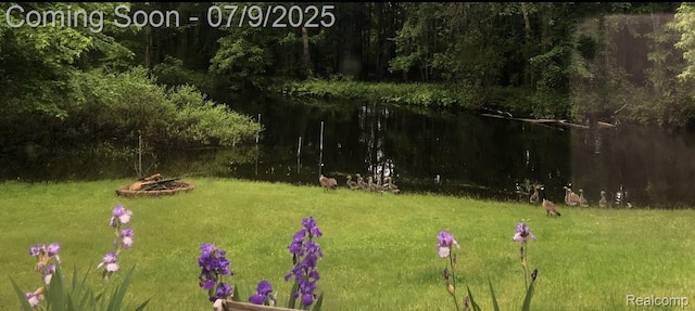 15279 Outer Dr, Linden, MI 48451 - photo 71