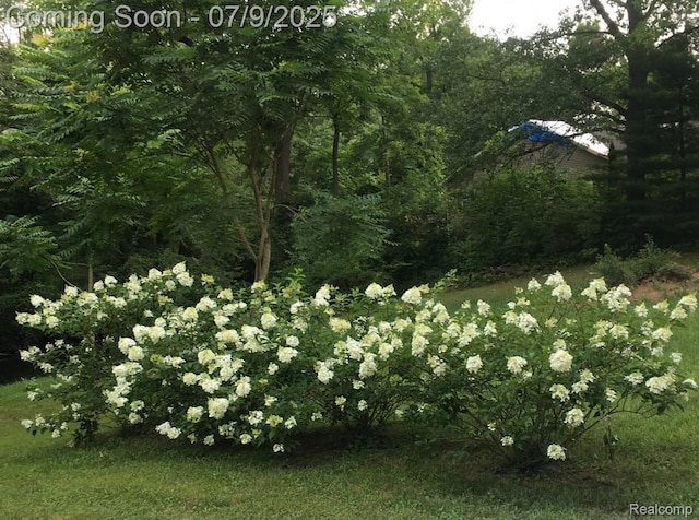 15279 Outer Dr, Linden, MI 48451 - photo 70
