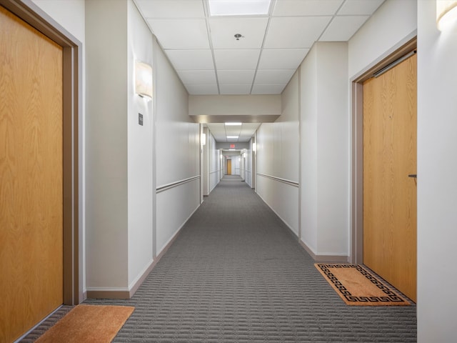 111 N Ashley St Unit 513, Ann Arbor, MI 48104 - hallway featuring carpet flooring and a drop ceiling