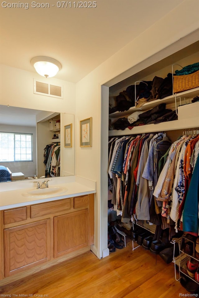 2746 Page Ave, Ann Arbor, MI 48104 - spacious closet featuring a sink and light wood-style floors