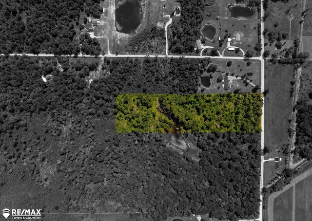 10ACRES Townhall Rd, Beaverton, MI 48612