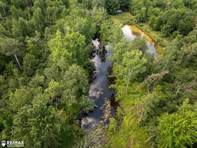 10ACRES Townhall Rd, Beaverton, MI 48612