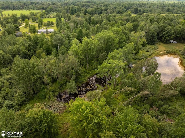 10ACRES Townhall Rd, Beaverton, MI 48612