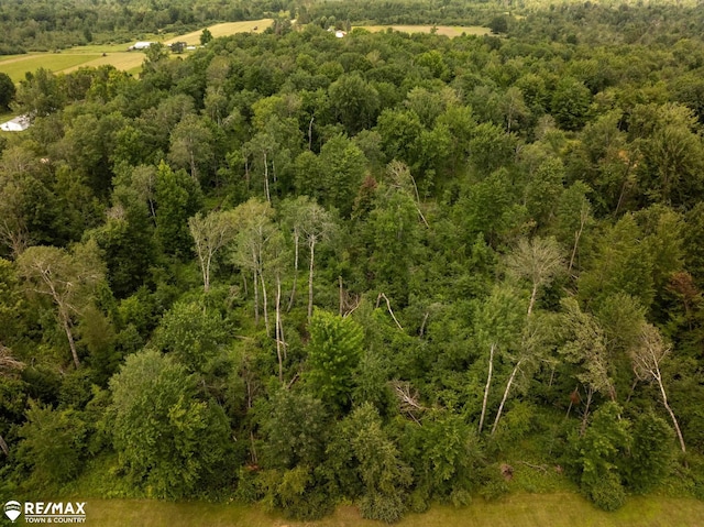 10ACRES Townhall Rd, Beaverton, MI 48612