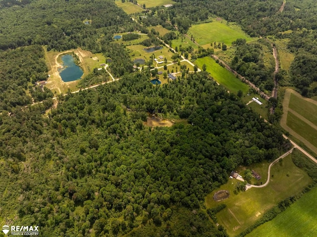 10ACRES Townhall Rd, Beaverton, MI 48612