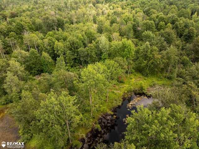 10ACRES Townhall Rd, Beaverton, MI 48612