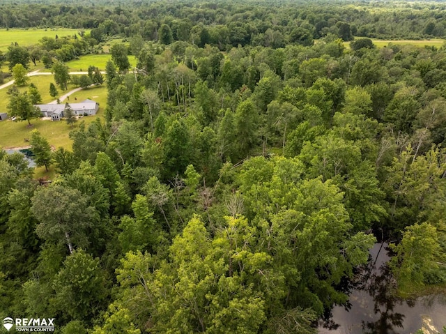 10ACRES Townhall Rd, Beaverton, MI 48612
