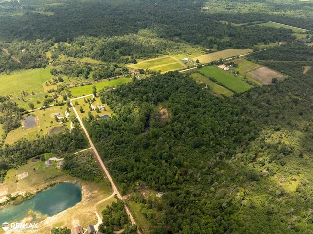 10ACRES Townhall Rd, Beaverton, MI 48612