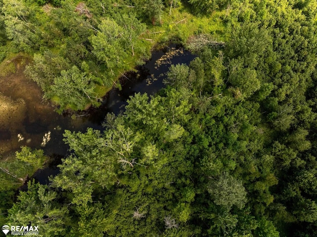 10ACRES Townhall Rd, Beaverton, MI 48612