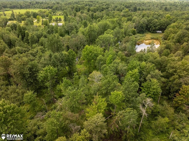 10ACRES Townhall Rd, Beaverton, MI 48612