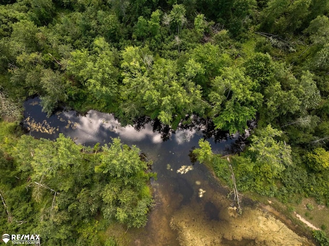 10ACRES Townhall Rd, Beaverton, MI 48612