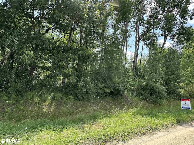 10ACRES Townhall Rd, Beaverton, MI 48612