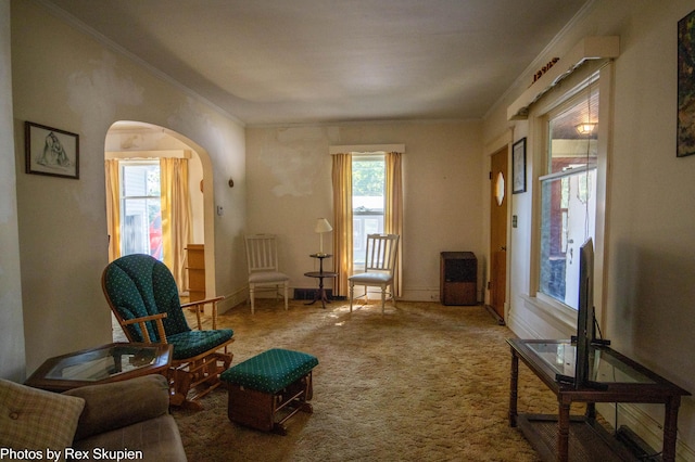 892 W Forest Ave, Muskegon, MI 49441 - sitting room with arched walkways, ornamental molding, and carpet flooring