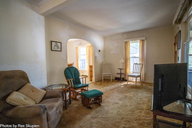 892 W Forest Ave, Muskegon, MI 49441 - living area featuring arched walkways, carpet floors, ornamental molding, plenty of natural light, and lofted ceiling