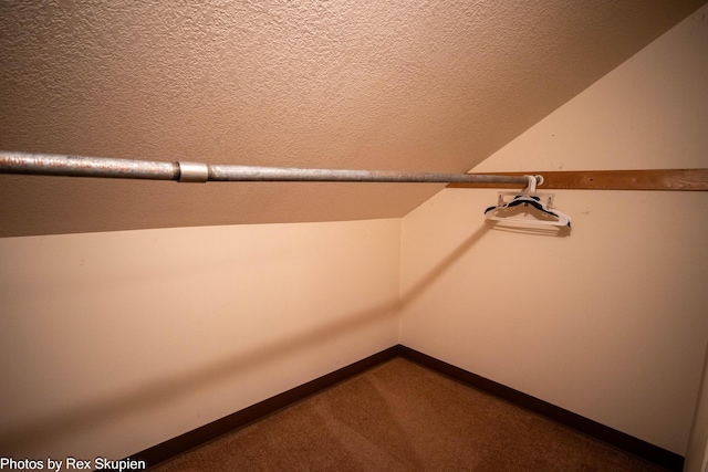 892 W Forest Ave, Muskegon, MI 49441 - spacious closet featuring vaulted ceiling and carpet floors