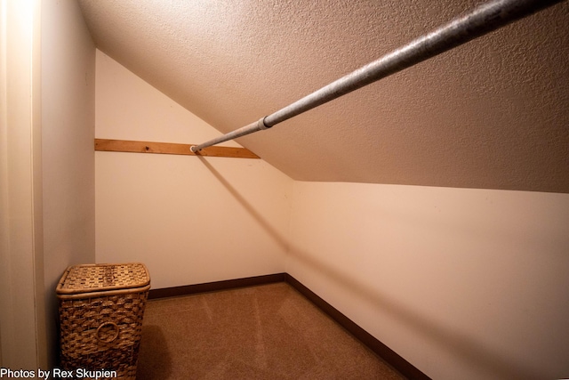 892 W Forest Ave, Muskegon, MI 49441 - walk in closet with lofted ceiling and carpet flooring