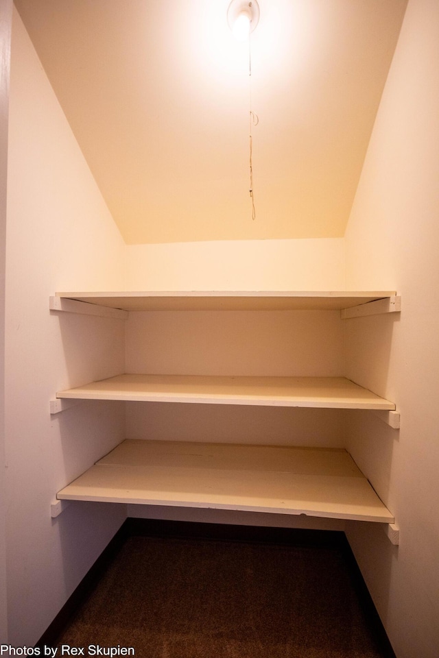 892 W Forest Ave, Muskegon, MI 49441 - walk in closet featuring vaulted ceiling