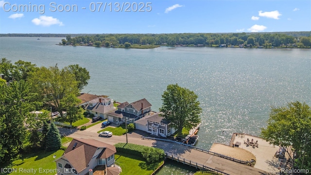 106 St Clair River Dr, Algonac, MI 48001 - drone / aerial view of a nearby body of water